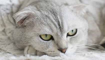 星空.综合体育：点亮夜空的全民健身新纪元