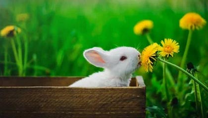 星空.综合体育：点亮夜空的全民健身新纪元